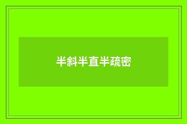 半斜半直半疏密