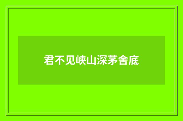 君不见峡山深茅舍底