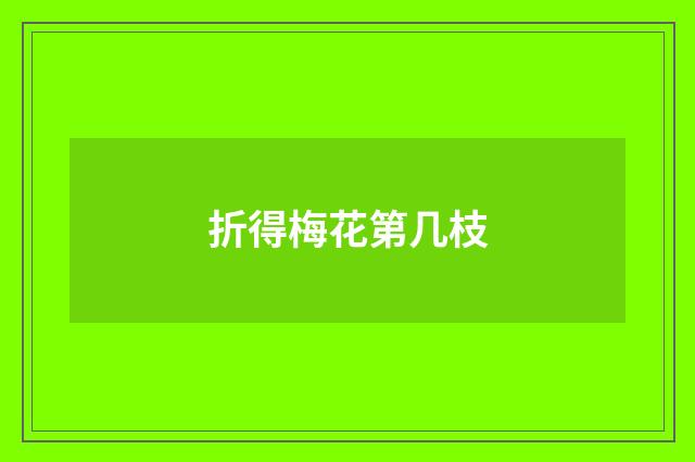 折得梅花第几枝