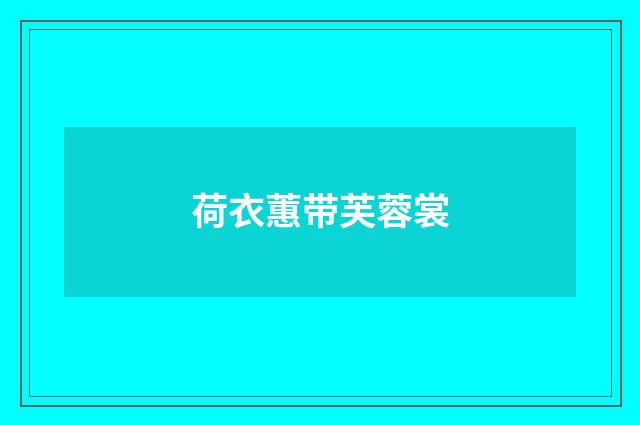 荷衣蕙带芙蓉裳