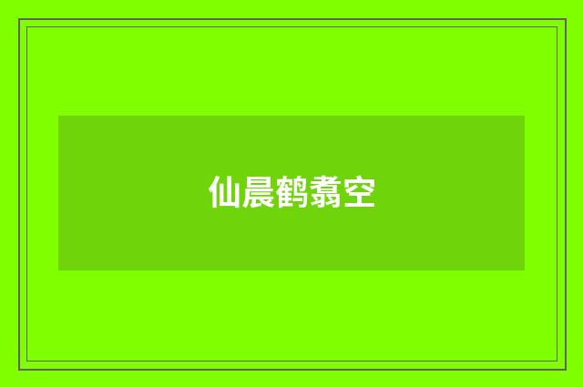 仙晨鹤翥空