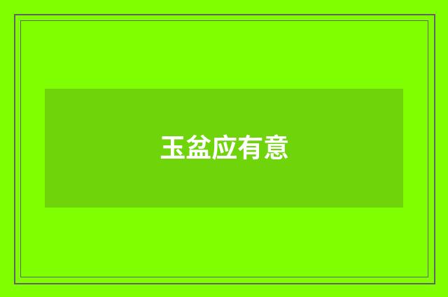玉盆应有意