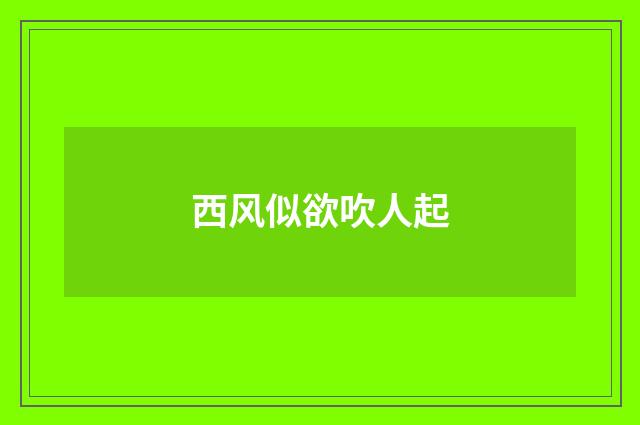 西风似欲吹人起