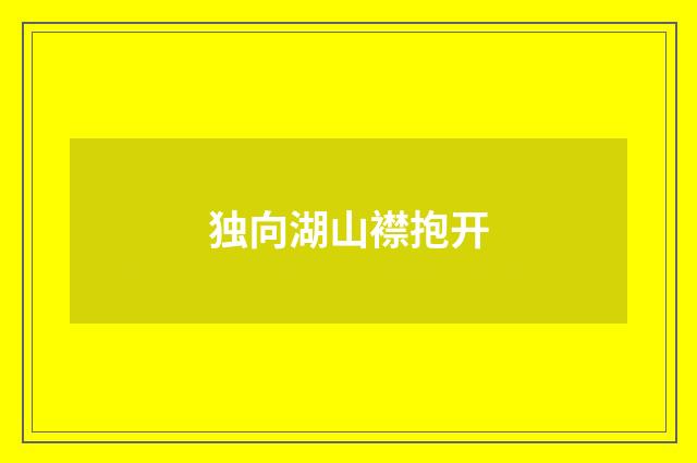 独向湖山襟抱开
