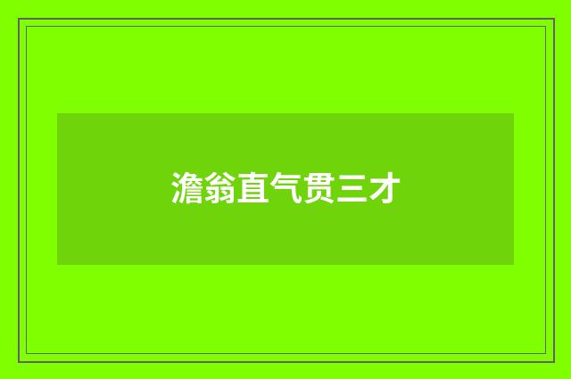 澹翁直气贯三才