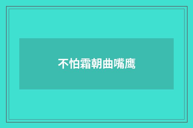 不怕霜朝曲嘴鹰