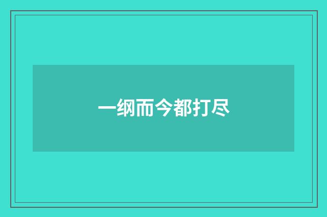 一纲而今都打尽