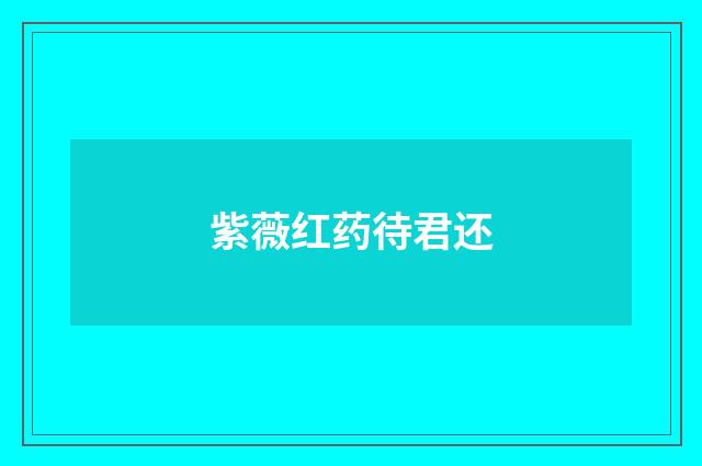 紫薇红药待君还