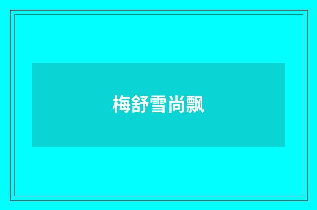 梅舒雪尚飘