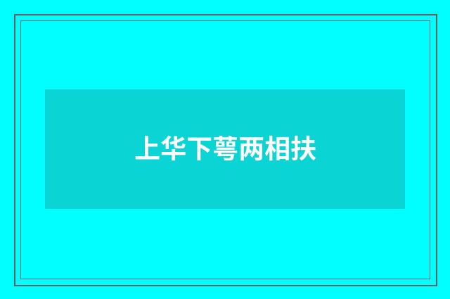 上华下萼两相扶