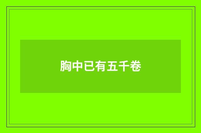 胸中已有五千卷