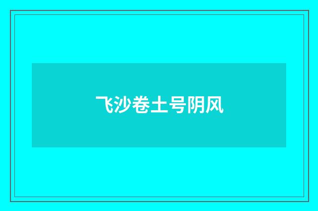飞沙卷土号阴风