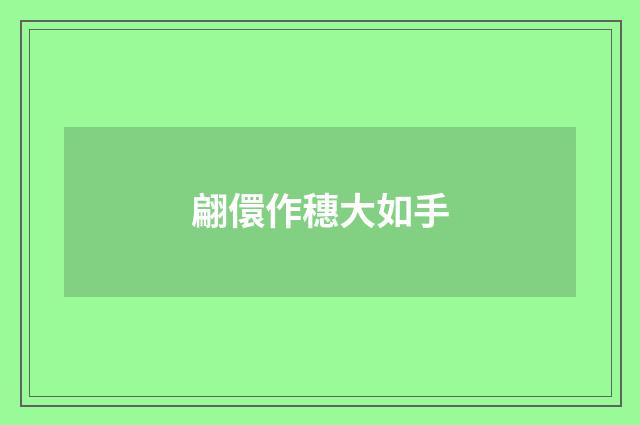 翩儇作穗大如手