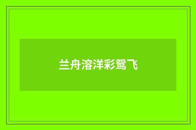 兰舟溶洋彩鸳飞
