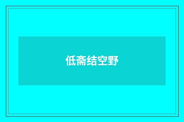 低斋结空野