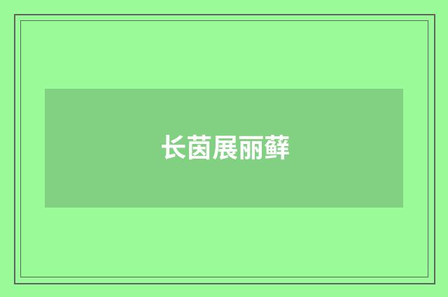 长茵展丽藓