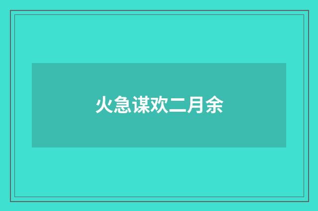 火急谋欢二月余