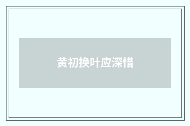 黄初换叶应深惜