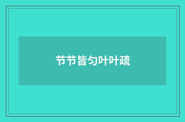 节节皆匀叶叶疏