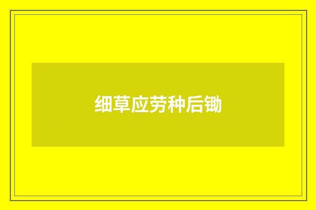 细草应劳种后锄