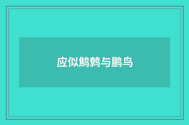 应似鹪鹩与鹏鸟