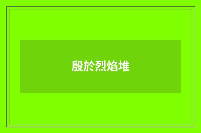 殷於烈焰堆