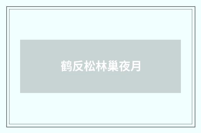 鹤反松林巢夜月