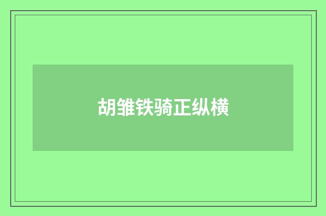 胡雏铁骑正纵横