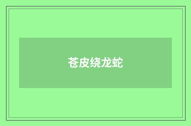 苍皮绕龙蛇