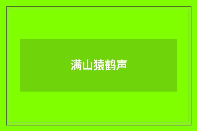 满山猿鹤声