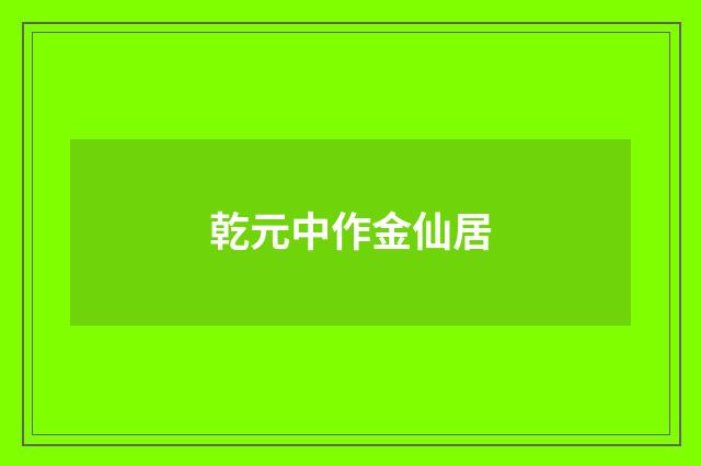 乾元中作金仙居