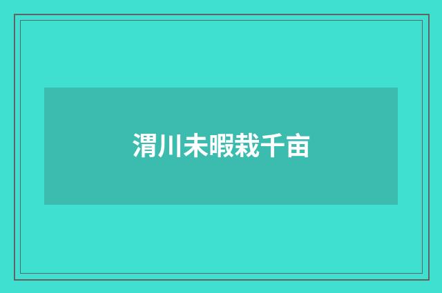 渭川未暇栽千亩