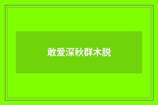 敢爱深秋群木脱