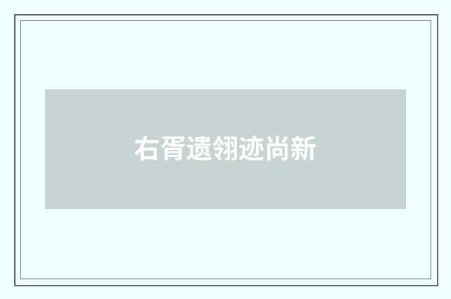右胥遗翎迹尚新