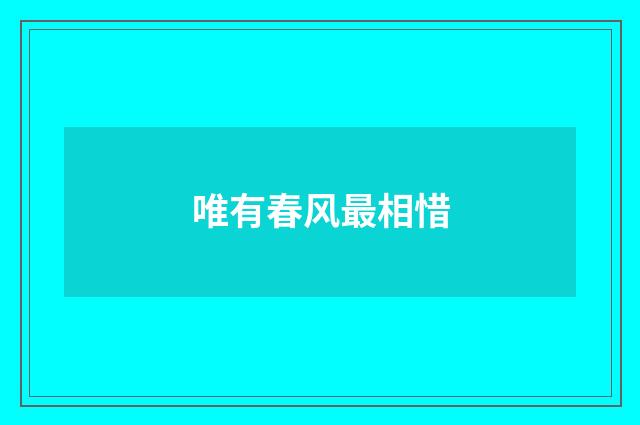 唯有春风最相惜
