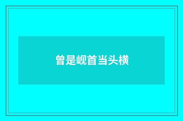 曾是岘首当头横