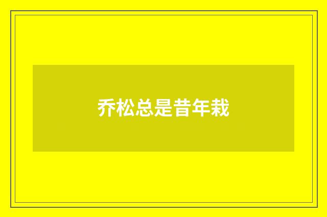乔松总是昔年栽