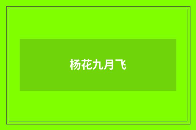 杨花九月飞