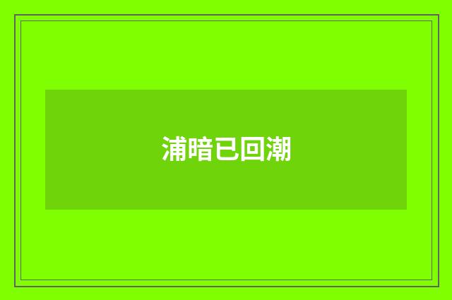 浦暗已回潮