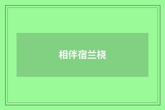 相伴宿兰桡