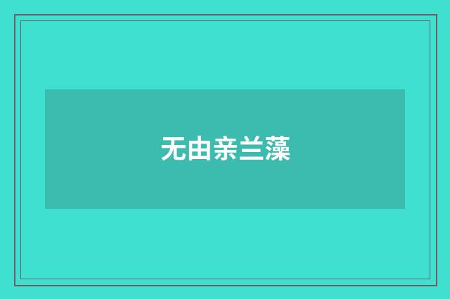 无由亲兰藻