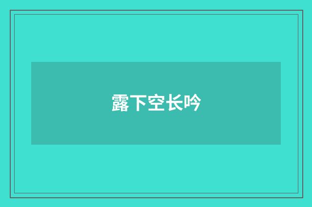 露下空长吟