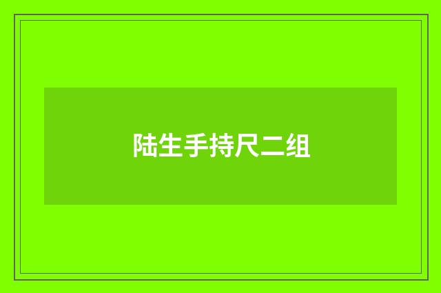 陆生手持尺二组