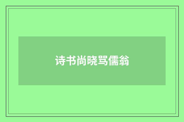 诗书尚晓骂儒翁