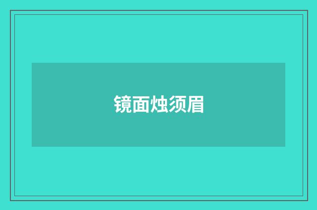 镜面烛须眉