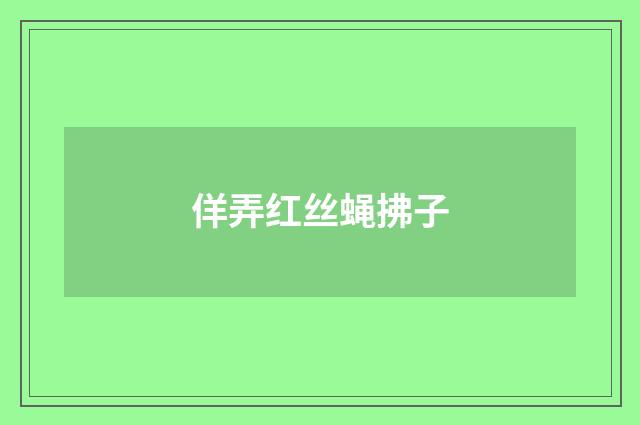佯弄红丝蝇拂子