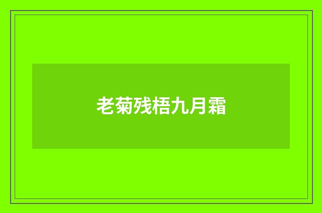老菊残梧九月霜