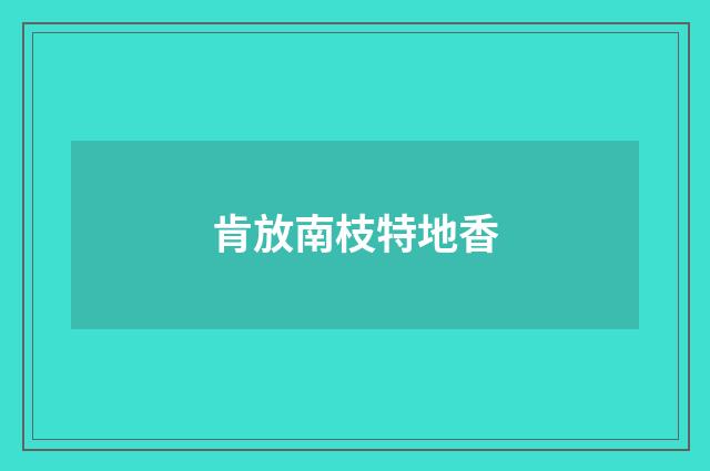 肯放南枝特地香