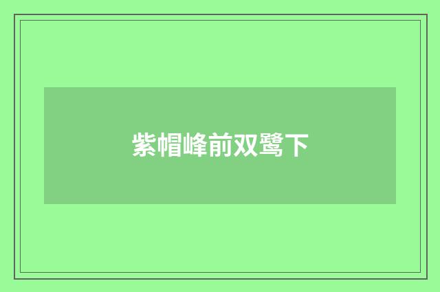 紫帽峰前双鹭下