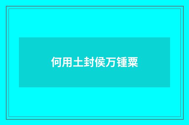 何用土封侯万锺粟